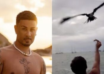 O influenciador foi multado pelo ICMBio ao divulgar imagens de aves sendo alimentadas