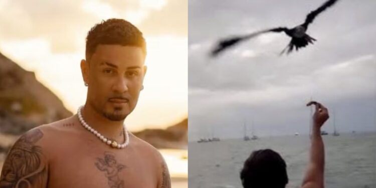 O influenciador foi multado pelo ICMBio ao divulgar imagens de aves sendo alimentadas