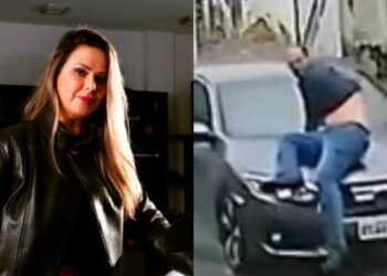 A advogada Fernanda Ferreira de Souza
