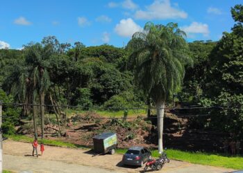A área é considerada um importante fragmento de Mata Atlântica, abrigando grande diversidade de fauna e flora