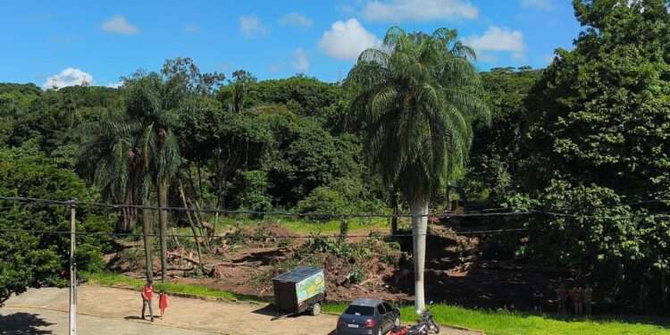 A área é considerada um importante fragmento de Mata Atlântica, abrigando grande diversidade de fauna e flora