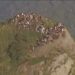 Dezenas de turistas presos no Morro Dois Irmãos