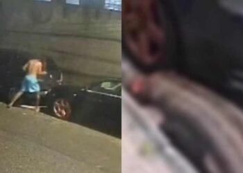 Homem é flagrado matando capivara em Boa Viagem