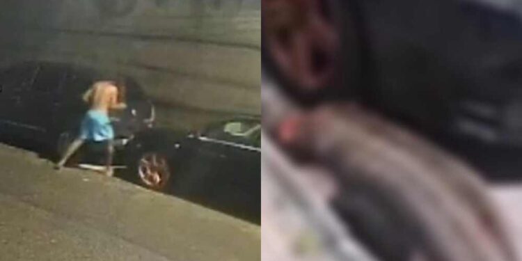 Homem é flagrado matando capivara em Boa Viagem