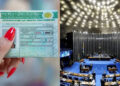 Os motoristas precisam estar inscritos no RNPC