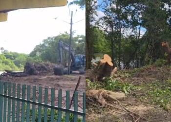 Imagens mostram área de Mata Atlântica devastada para obra