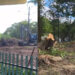 Imagens mostram área de Mata Atlântica devastada para obra