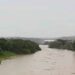 Rio Capibaribe, em São Lourenço da Mata (Reprodução: @tuviuslmpe via Instagram)