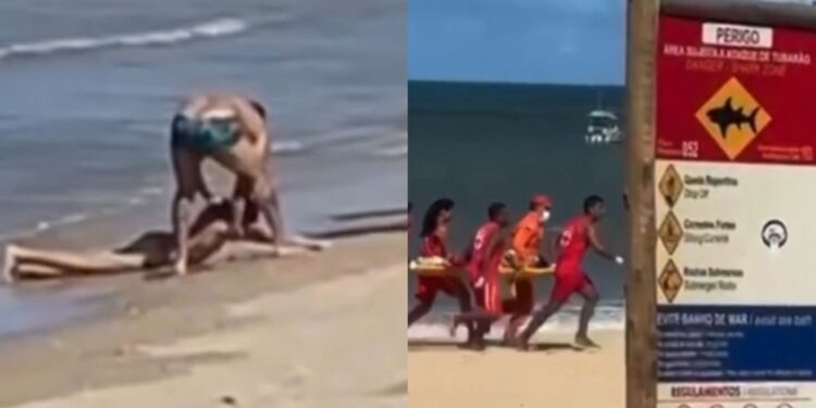 Incidente aconteceu neste domingo (31), na praia que concentra maior número de ataques em PE