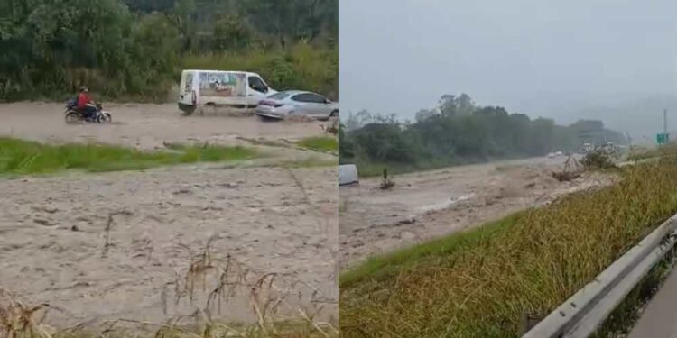 Motoristas enfrentam alagamento na BR-101 entre Pernambuco e Paraíba