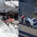 O sinistro ocorreu por volta das 12h15, no quilômetro 400 da rodovia