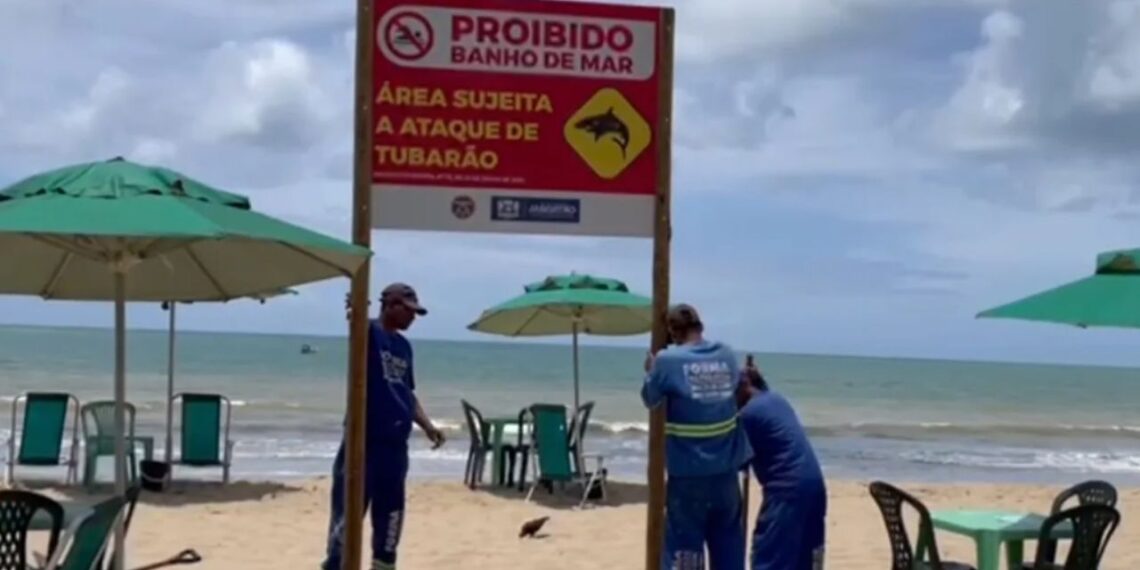 Placa sobre proibição de banho na Praia de Piedade, em Jaboatão. Foto: Reprodução