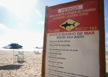 Desde 1992, o estado contabiliza 84 incidentes envolvendo tubarões e, entre eles, 27 mortes.