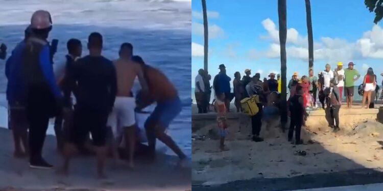 Jovem é mordida por tubarão na praia de Boa Viagem, no Recife