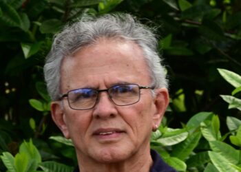 o pré-candidato ao Senado pela Federação PSOL-Rede, Paulo Rubem Santiago