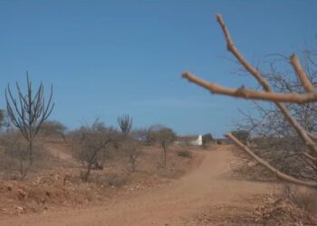 Seca extrema já afeta mais de 1,5 milhão de pessoas em Pernambuco. Foto: Reprodução/TV Globo