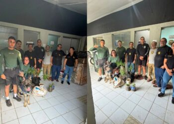 O caso ocorreu na Vila Nossa Senhora dos Remédios. Foto: Duvulgação.