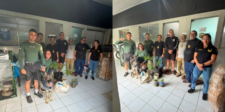 O caso ocorreu na Vila Nossa Senhora dos Remédios. Foto: Duvulgação.