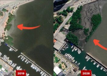 Área transformada supera 24 mil m². Imagens de satélite/bastidor.pe