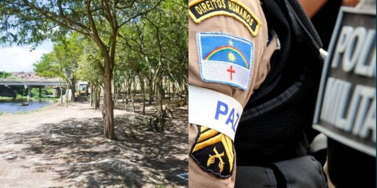 Bosque dos Universitários, em Gravatá. Foto: Ednaldo Lourenço/Secom Gravatá