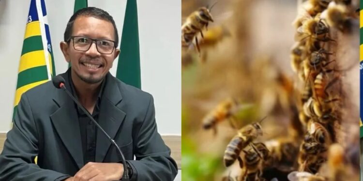 Odeilton Neno (PT), vereador pelo município de Regeneração (PI)
