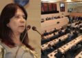 Goretti retorna à Câmara Municipal do Recife após licenciamento de Rodrigo Coutinho