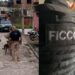 Operação contra homicídios e tráfico no Litoral Norte da PB