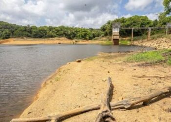 João Campos afirmou que Pernambuco está em desvantagem na captação de recursos para o setor hídrico em comparação com Bahia e Ceará