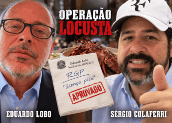 Os arquivos obtidos pelo Portal Ricardo Antunes enriquecem a investigação da Operação Locusta sobre irregularidade de legalidade de lagostas