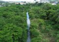 A vistoria ocorreu em um terreno inserido na Unidade de Conservação da Natureza (UCN) Beberibe