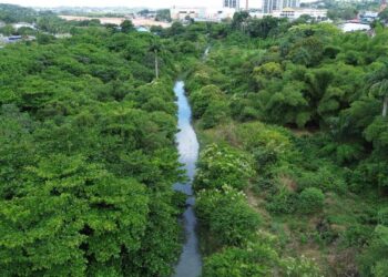 A vistoria ocorreu em um terreno inserido na Unidade de Conservação da Natureza (UCN) Beberibe
