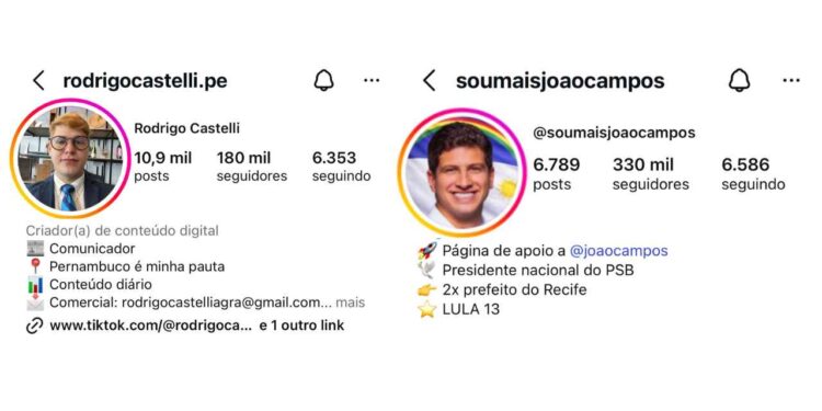 Os perfis @rodrigocastelli.pe e @soumaisjoaocampos estão entre os listados