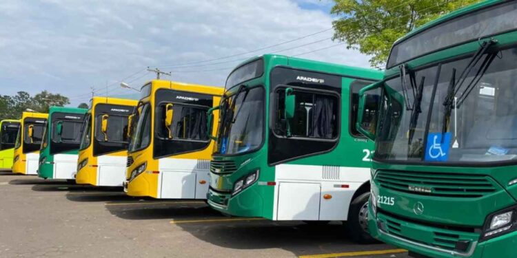 Redução da frota de ônibus foi registrada na Bahia e em São Paulo