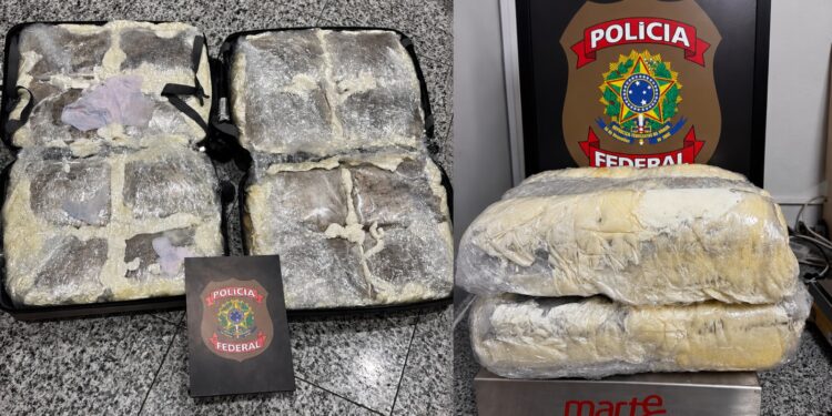 Essa é a maior apreensão de skank já feita no Aeroporto do Guararapes