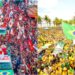 Presidenciáveis fecham campanha em estados ligados às suas trajetórias políticas