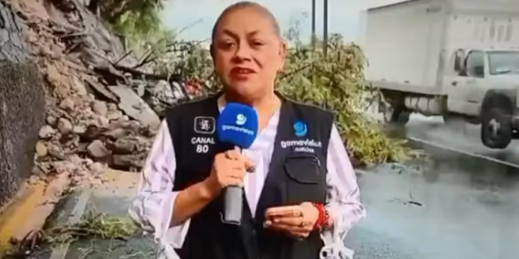 Repórter Alma de la Rosa Flores, da Gamavisión
